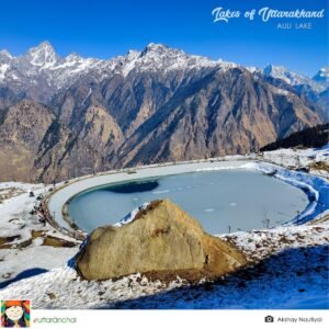 Auli