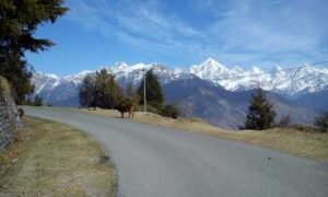 Munsiyari| Travel with Arbor Tai Service| Best Taxi Service