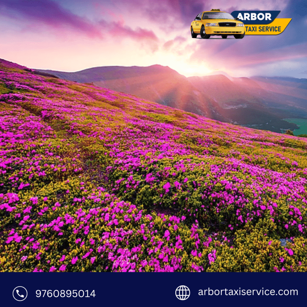 valley of flowers