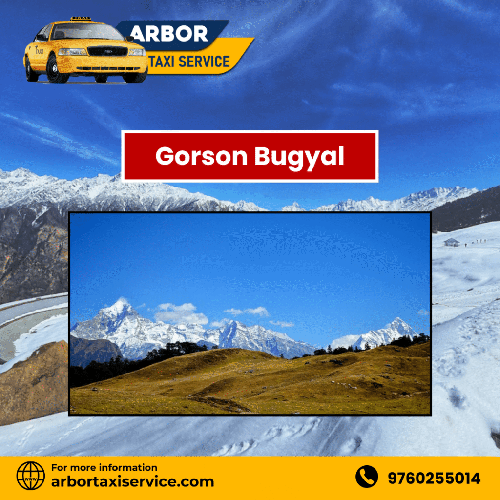 Gorson Bugyal