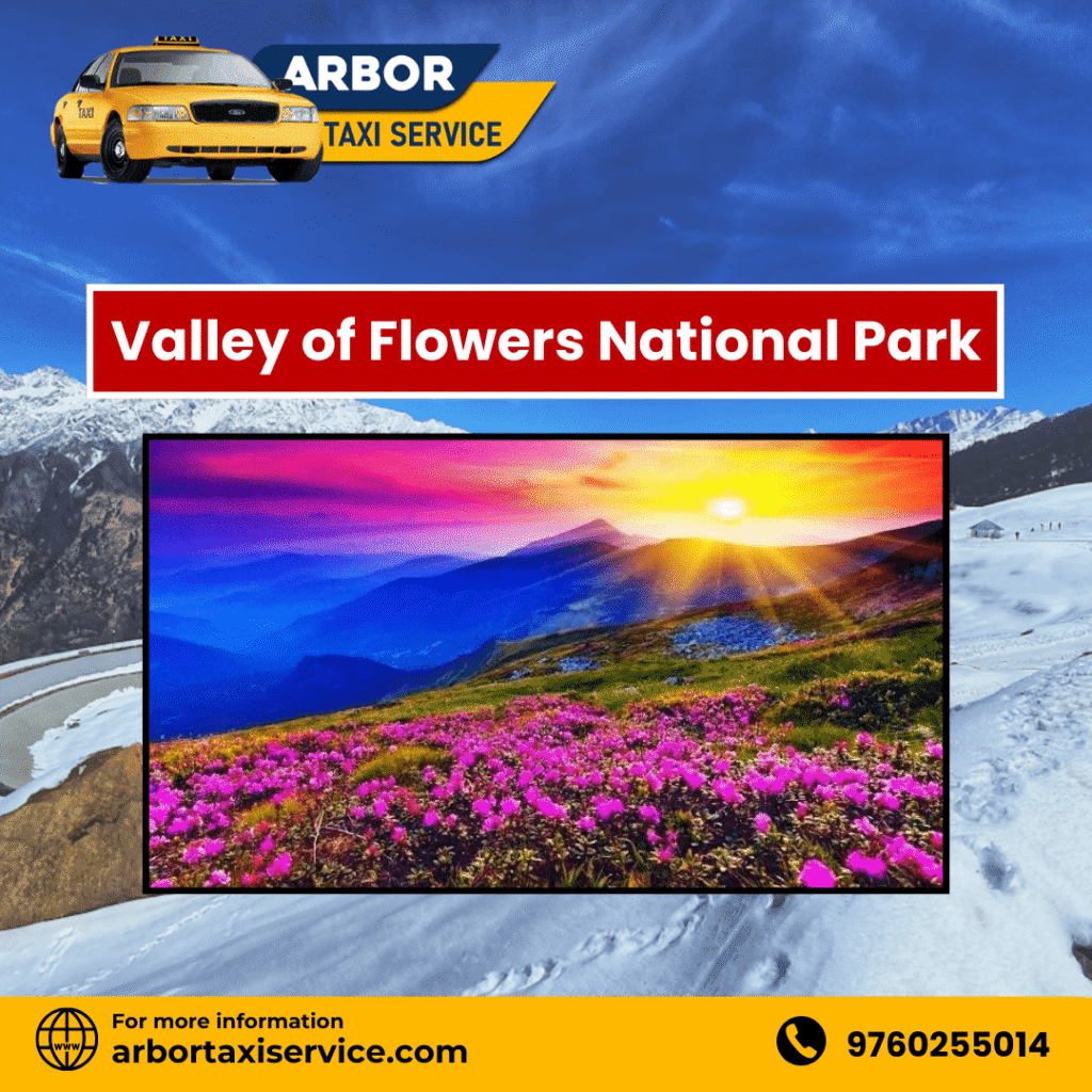 Valley of Flowers National Park
