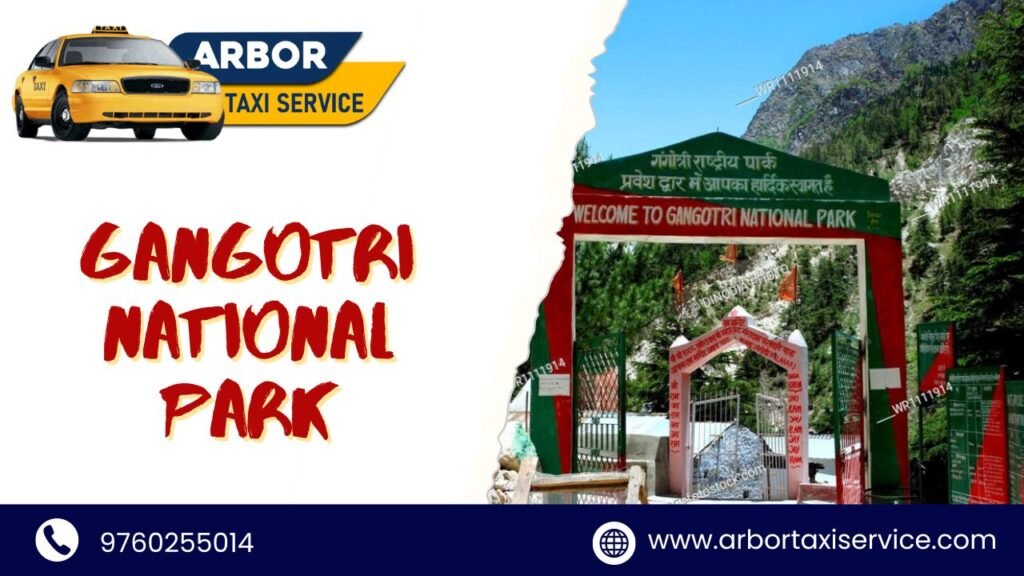 Gangotri National Park tour taxi service in dehradun